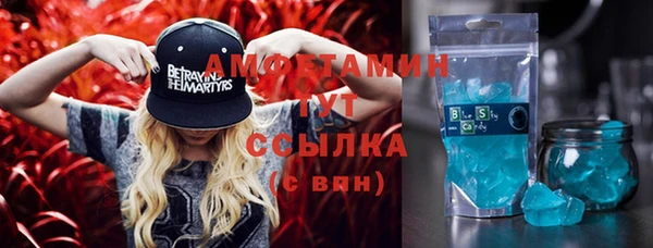 мдпв Вязьма